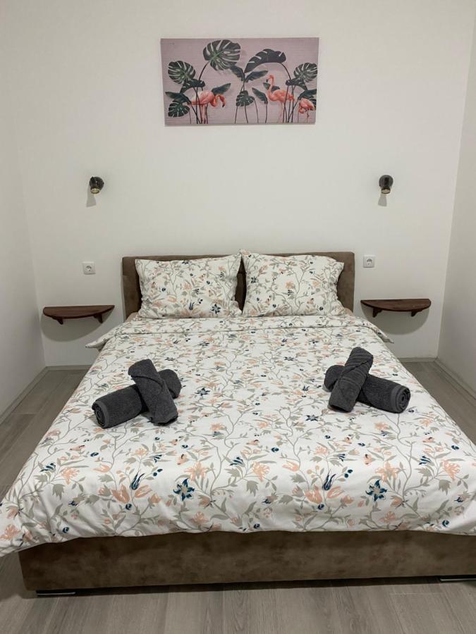 Ferienwohnung Lotus House Zrenjanin Exterior foto